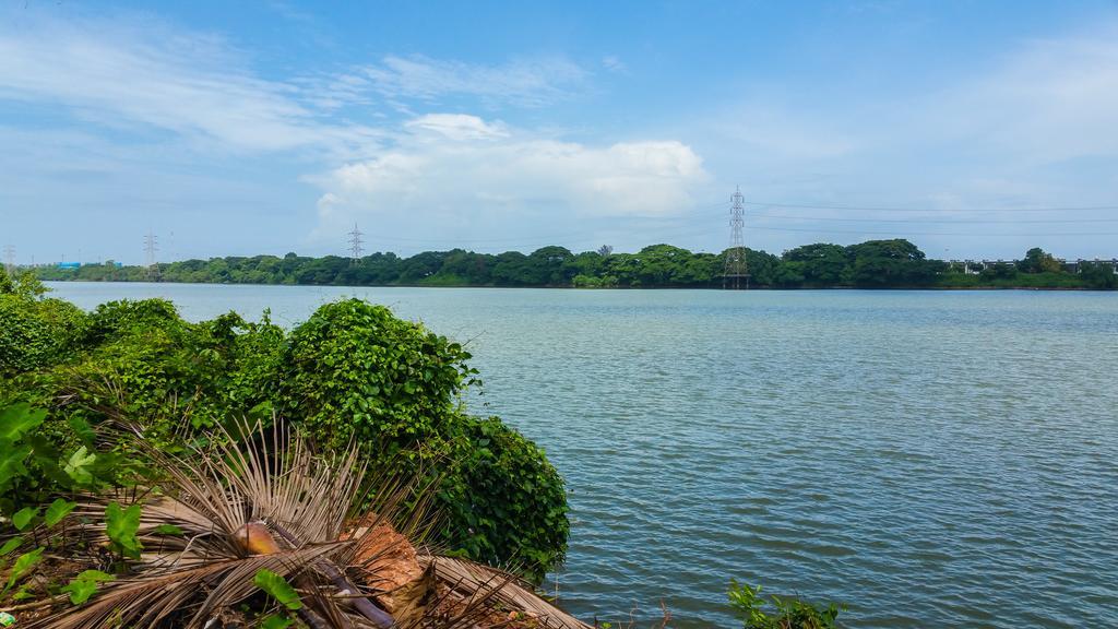 River View Guest House - Kavitha Residency Mangalore Eksteriør billede
